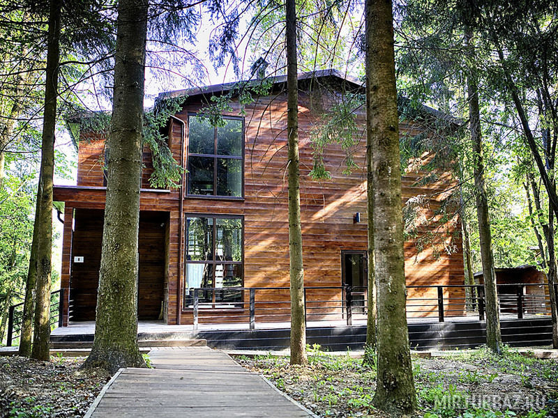 Босиком, Московская область: фото 5