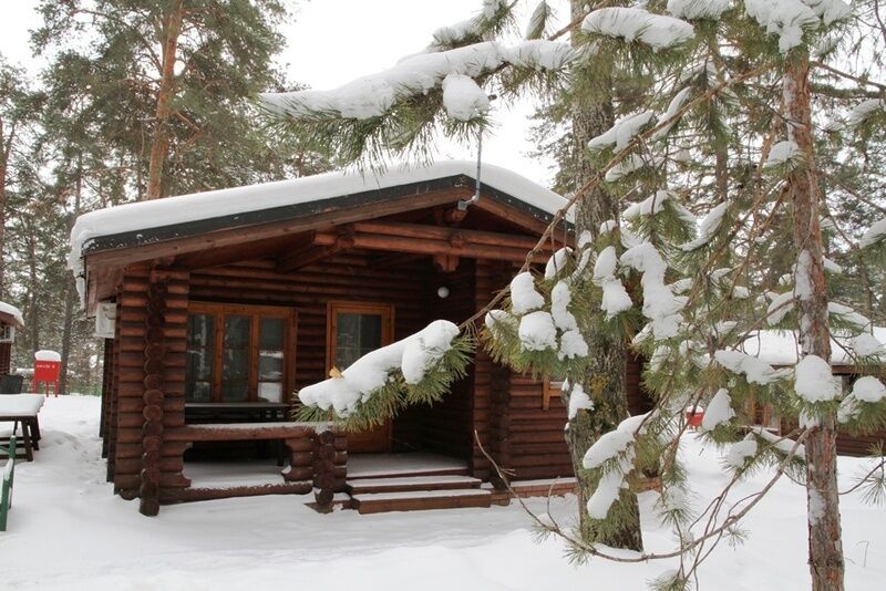 Бревенчатый дом | Подснежник, Самарская область