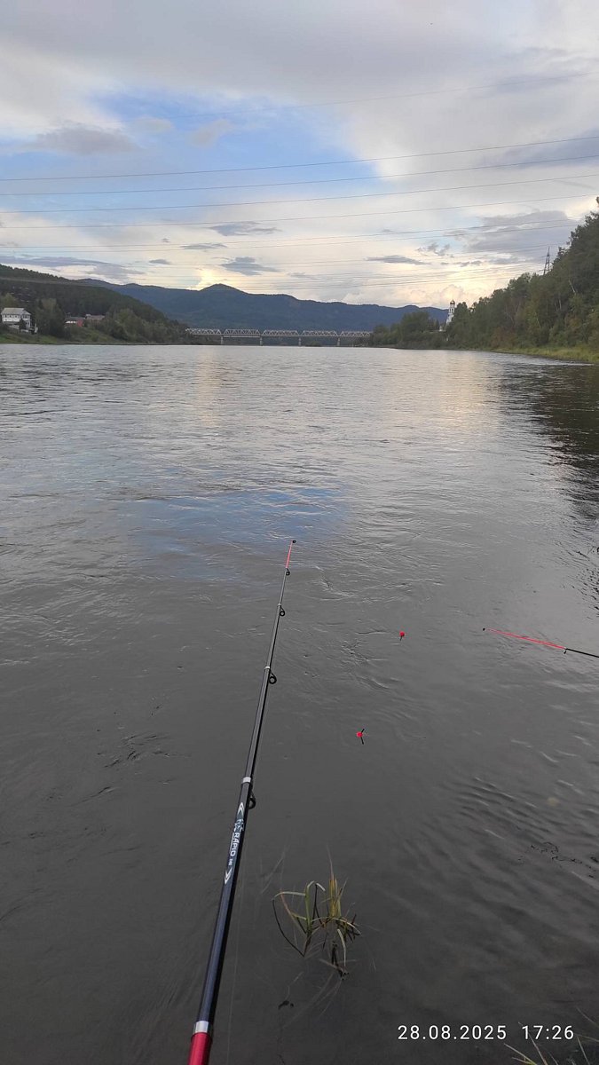 Фото 18 из отзыва о базе отдыха Дух Тайги