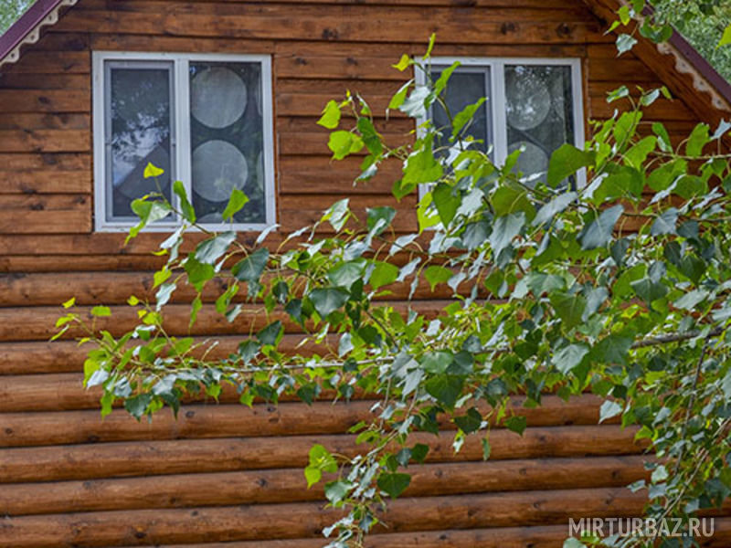 Малиновка, Саратовская область: фото 3