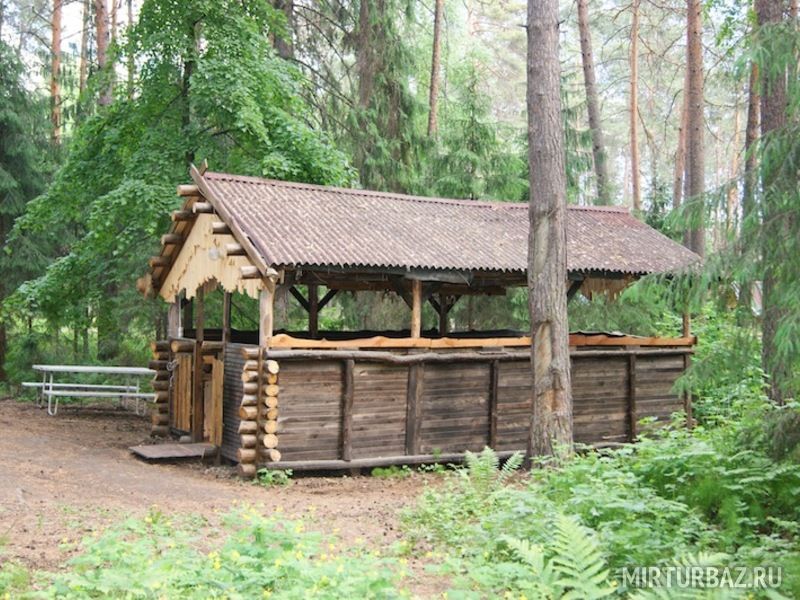 возле беседки