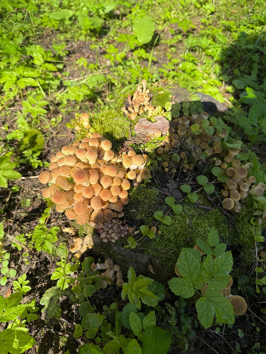 Фото 2 из отзыва о парк-отеле Премьера