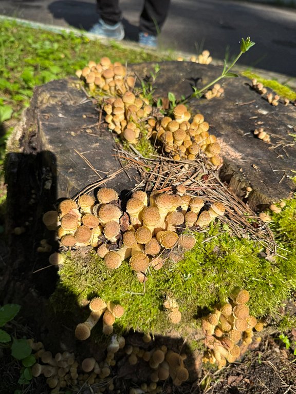 Фото из отзыва от 30.08.2025