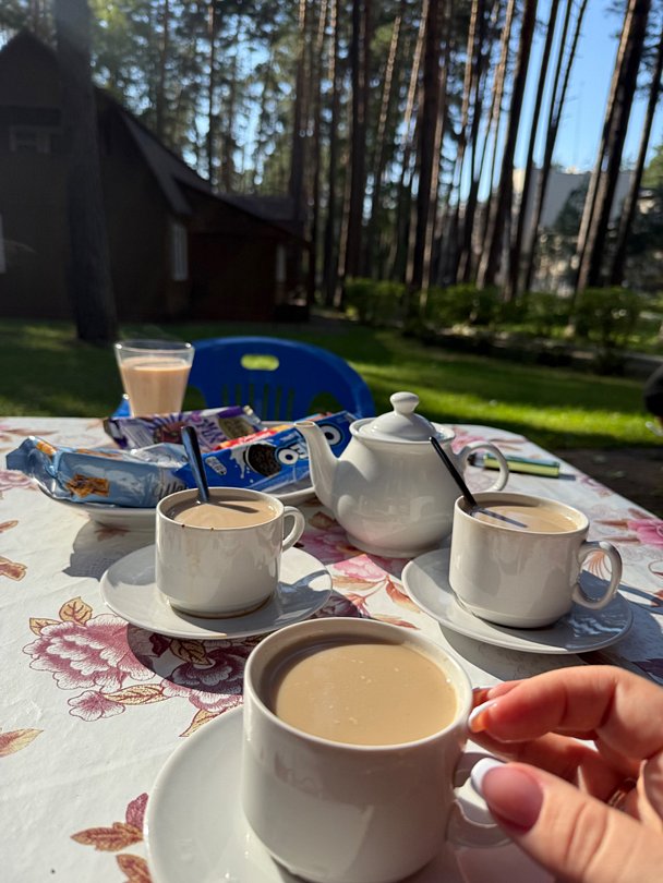 Фото 6 из отзыва о парк-отеле Премьера