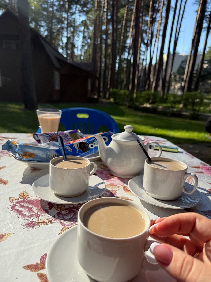 Фото 6 из отзыва о парк-отеле Премьера