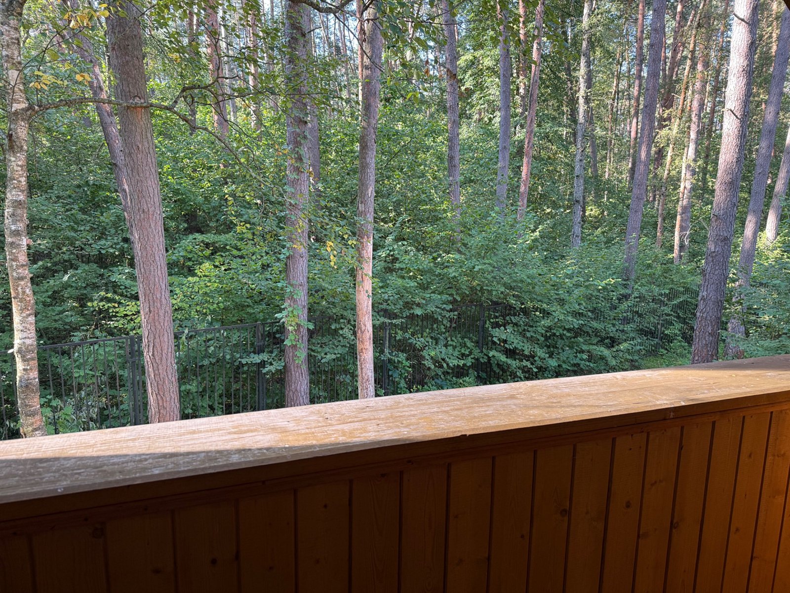 Фото 4 из отзыва о парк-отеле Премьера