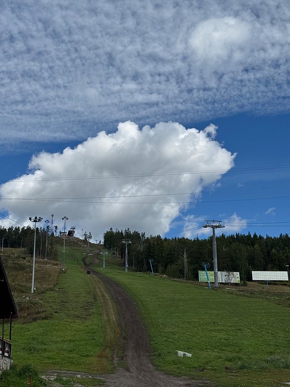 Фото из отзыва от 27.08.2025