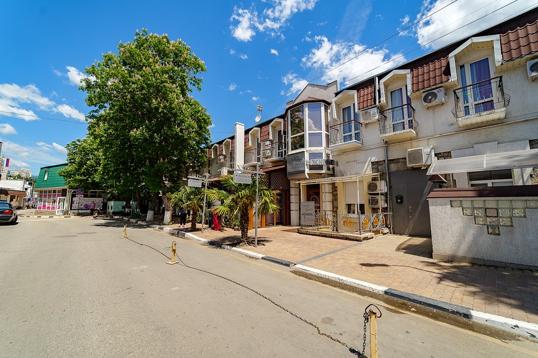 Южный берег, Крым: фото 2