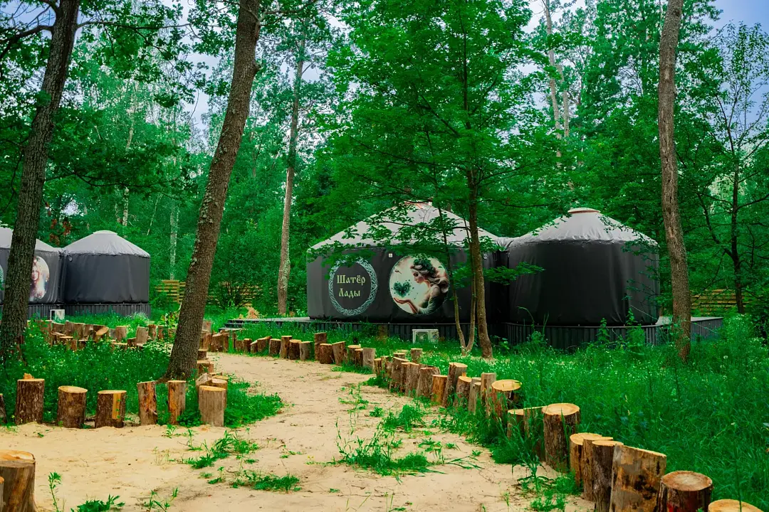 Лесная база Папоротник, Воронежская область: фото 2