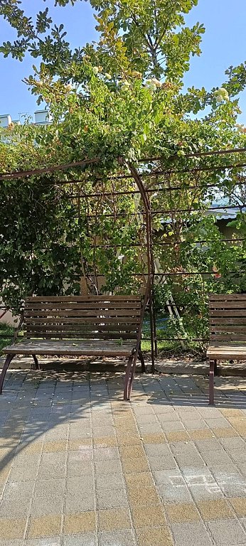 Фото из отзыва от 28.08.2025