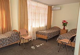 2-мест. станд. с конд., корп. 2, Пансионат Лучезарный, Николаевка