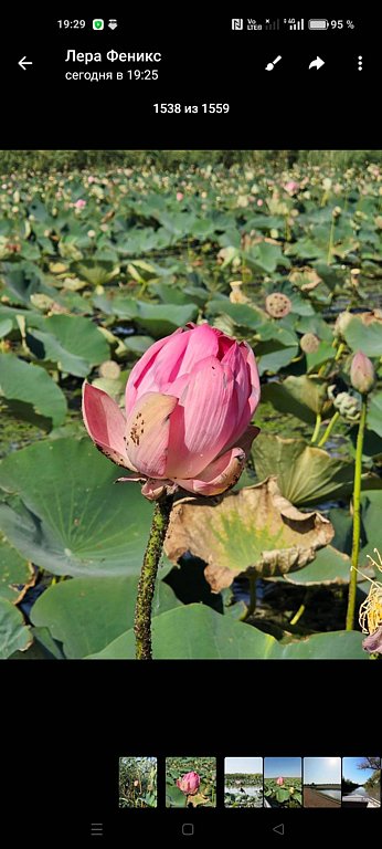 Фото из отзыва от 28.08.2025