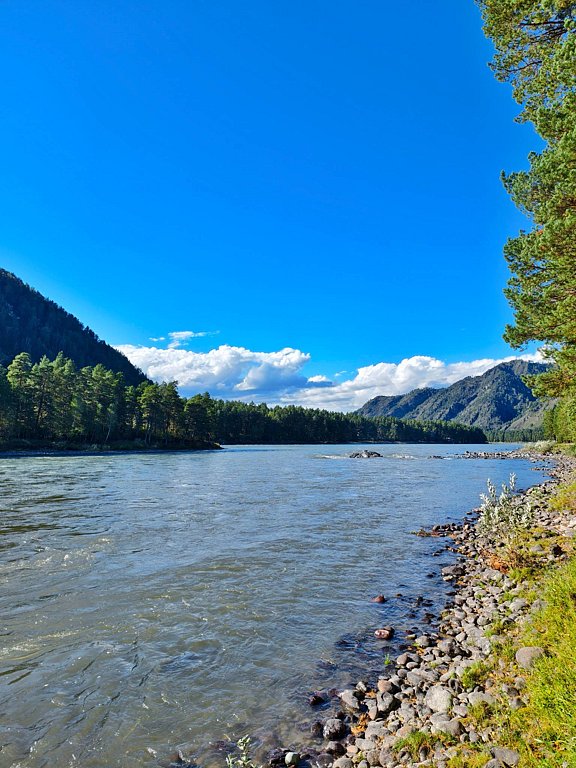 Фото из отзыва от 01.09.2025