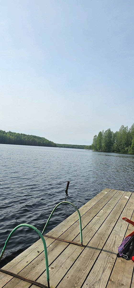 Фото 14 из отзыва о базе отдыха Лесное озеро