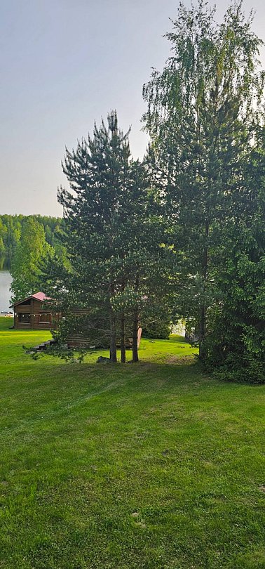 Фото 4 из отзыва о базе отдыха Лесное озеро