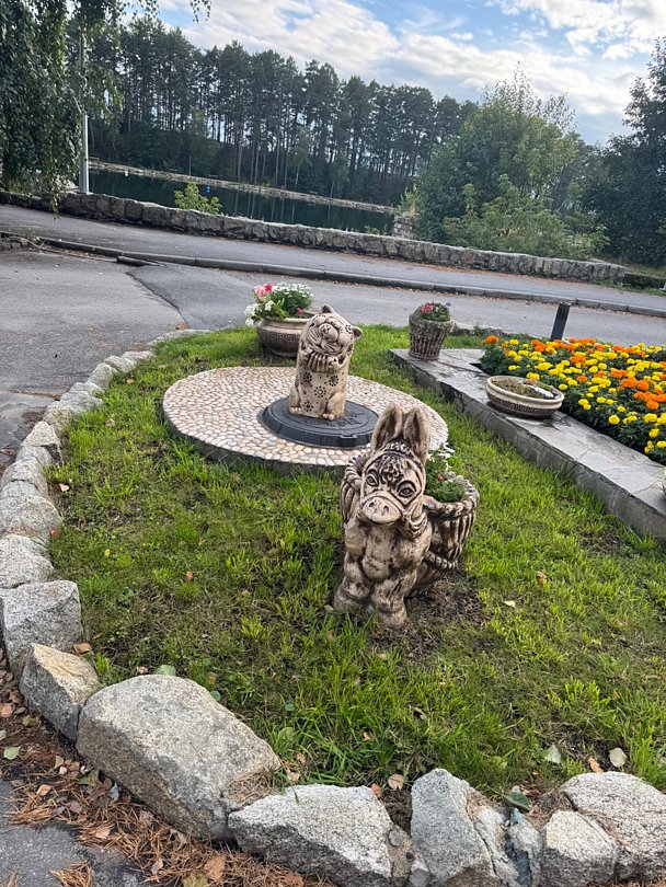 Фото 15 из отзыва о клуб-отеле Тургояк Сити