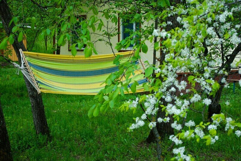 Камбоджа, Саратовская область: фото 4