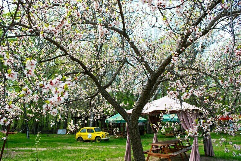 Камбоджа, Саратовская область: фото 5