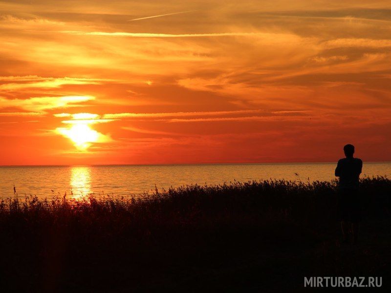 Хутор Утешение, Псковская область: фото 4