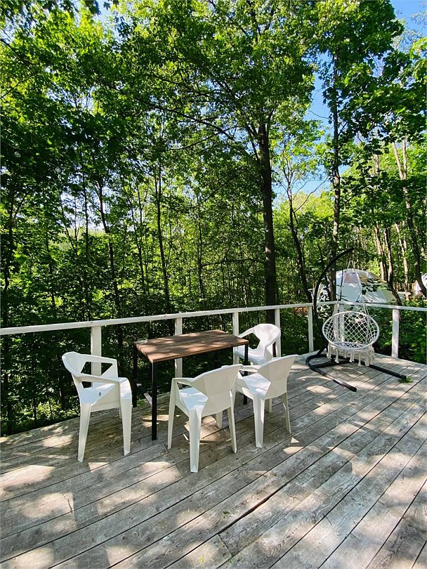 Клевер, Ярославская область: фото 4