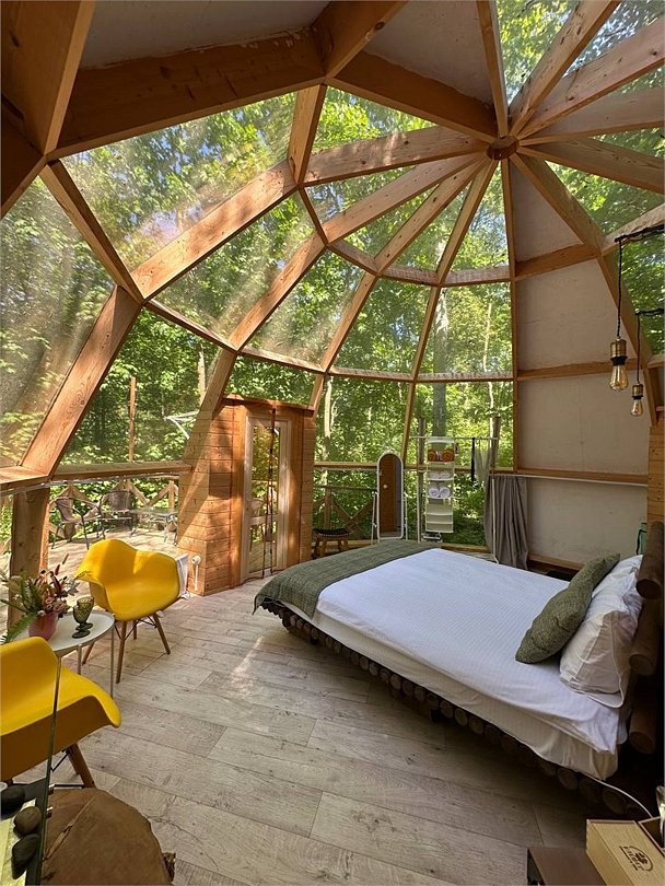 Клевер, Ярославская область: фото 3