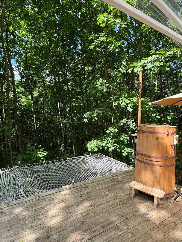 Клевер, Ярославская область: фото 5