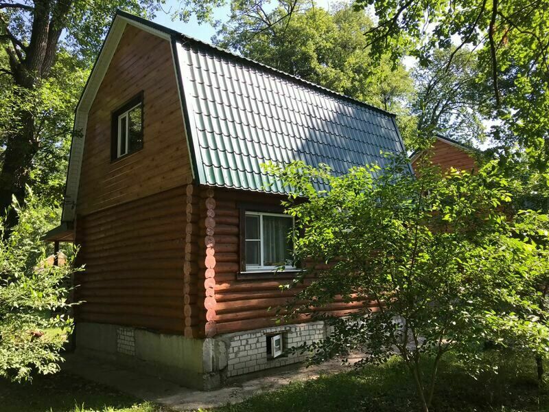 Дубки, Воронежская область: фото 4