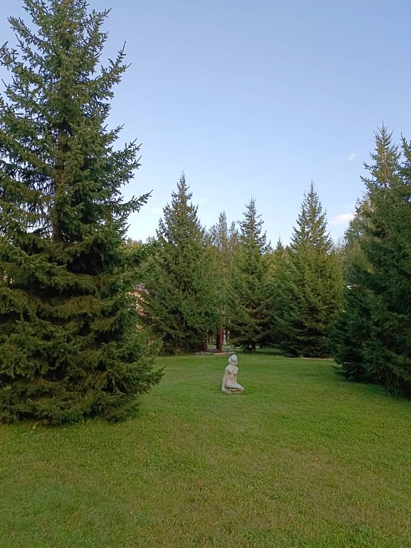 Фото из отзыва от 18.08.2025