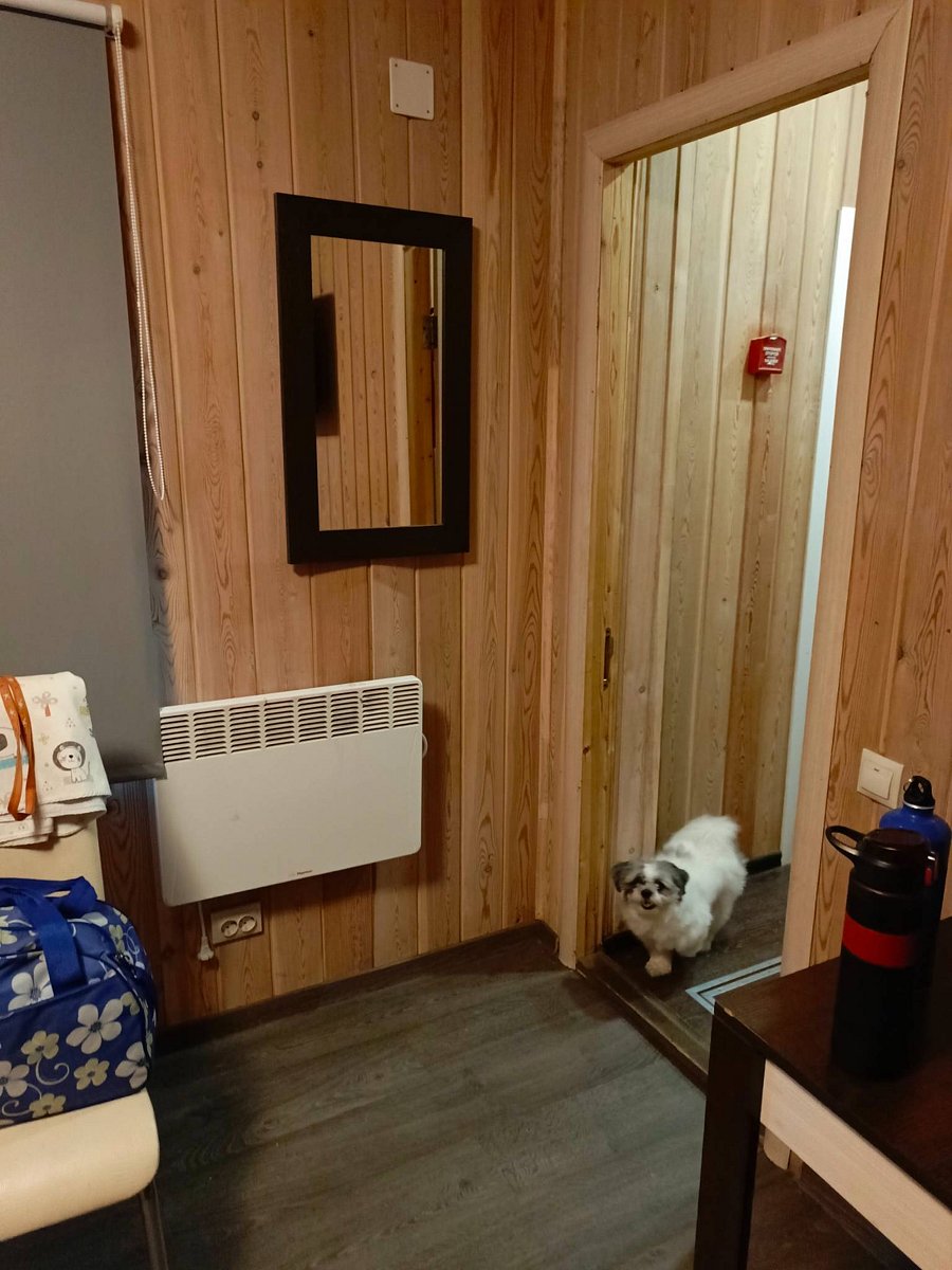 Фото 8 из отзыва о базе отдыха Энергия