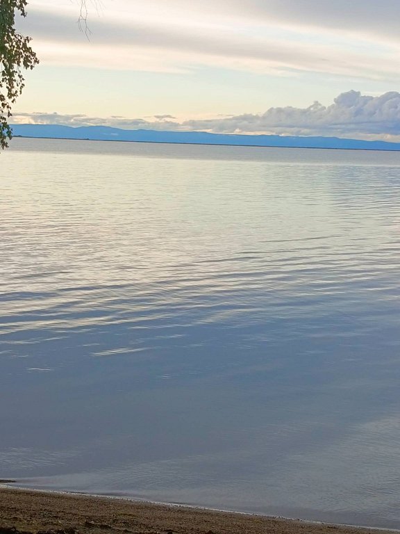 Фото из отзыва от 18.08.2025