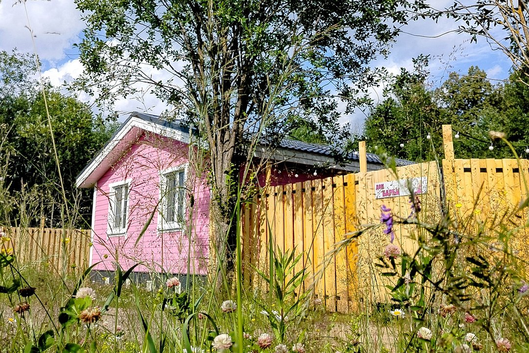 Лепестки, Республика Удмуртия: фото 5