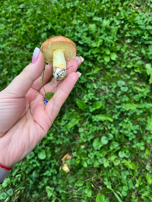 Фото из отзыва от 06.09.2025