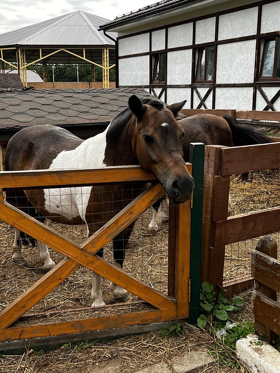 Фото из отзыва от 06.09.2025