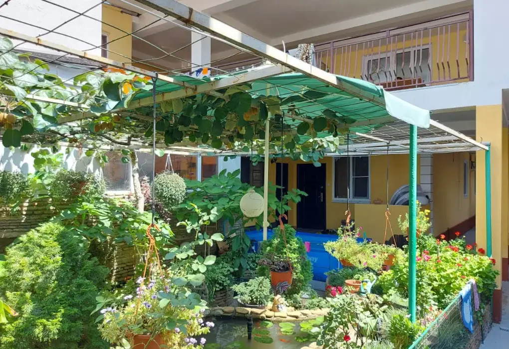 Green Zone, Краснодарский край: фото 5