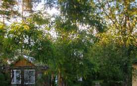 Летний дом на троих, База отдыха Солнечный берег, поселок Царевщина