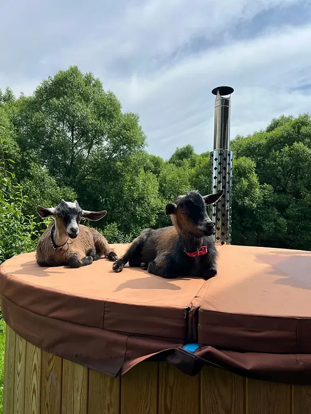 Yley, Тульская область: фото 3