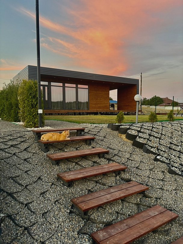 Лис и Сова, Волгоградская область: фото 2