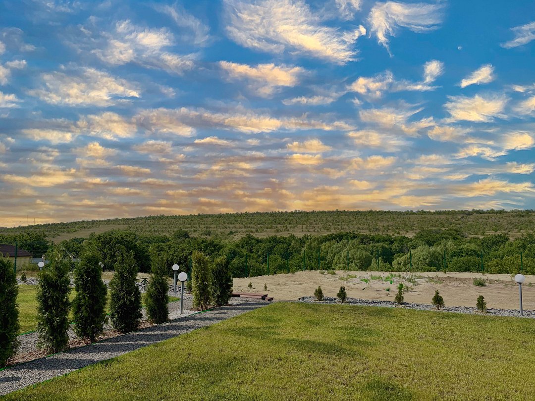 Лис и Сова, Волгоградская область: фото 3