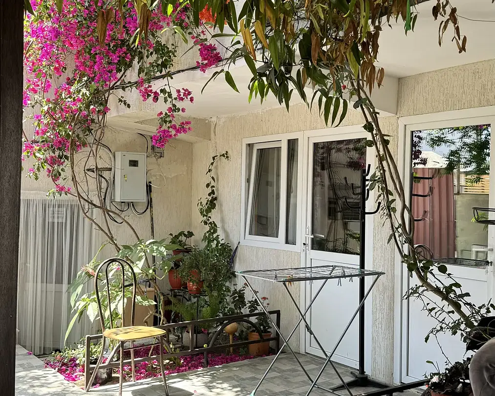 Кипарис, Краснодарский край: фото 3