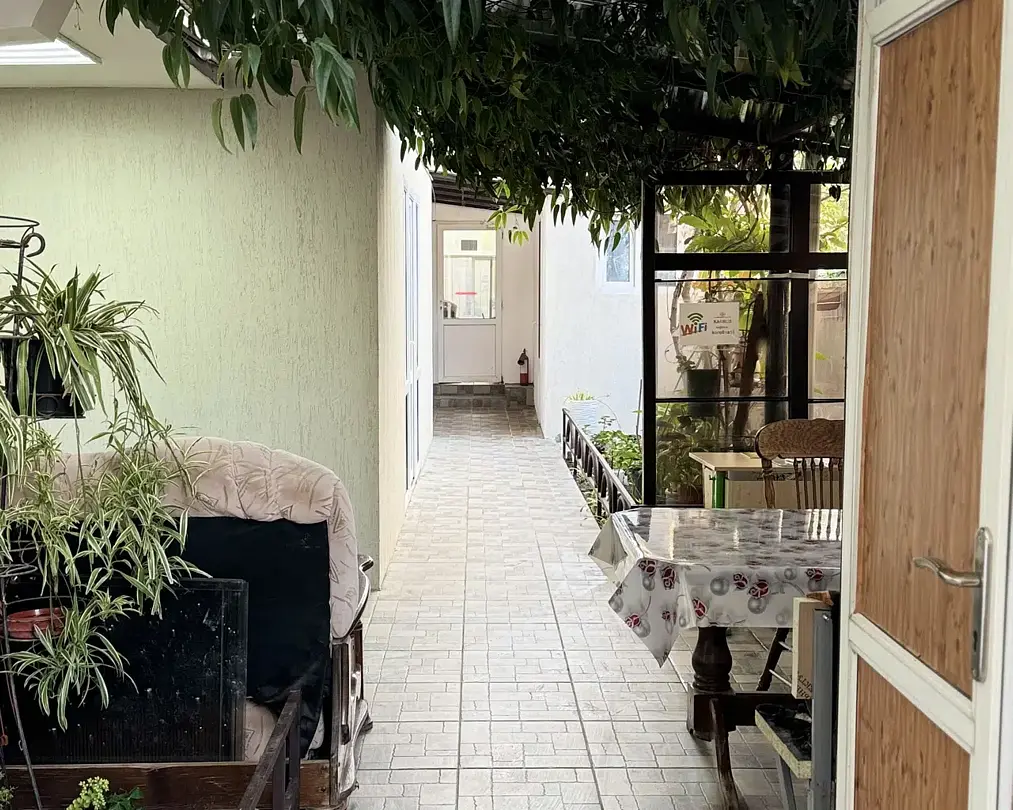 Кипарис, Краснодарский край: фото 4