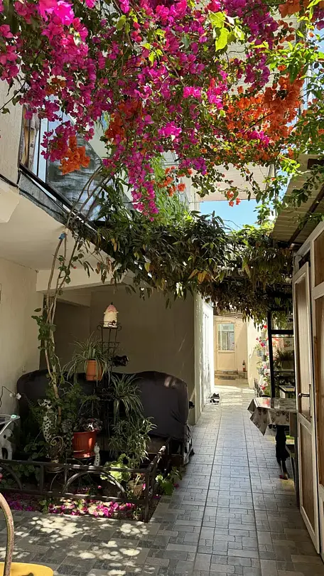 Кипарис, Краснодарский край: фото 2