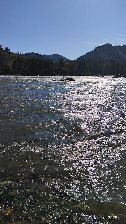 Фото из отзыва от 06.09.2025