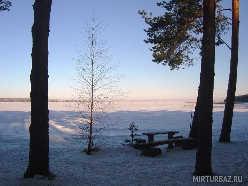 Усадьба Друг, Псковская область: фото 4