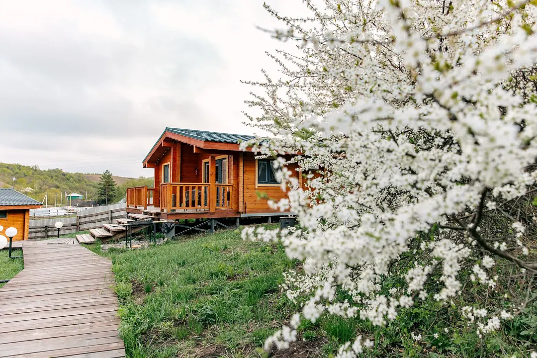 Тихие Дивы, Воронежская область: фото 2