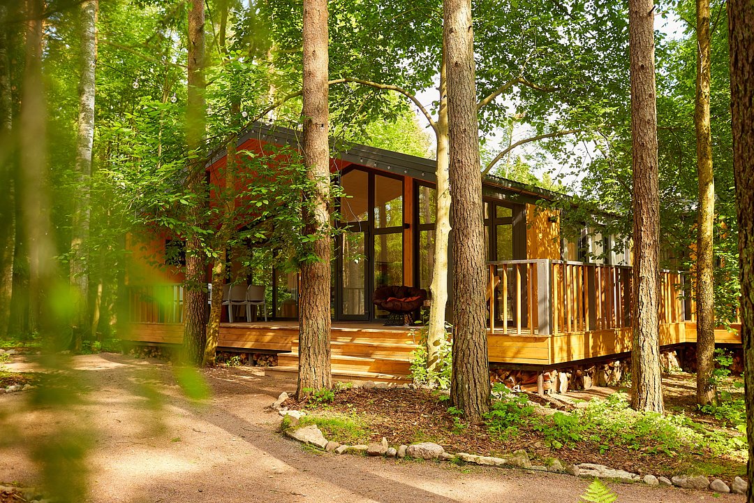 Репинские дачи, Ленинградская область: фото 3