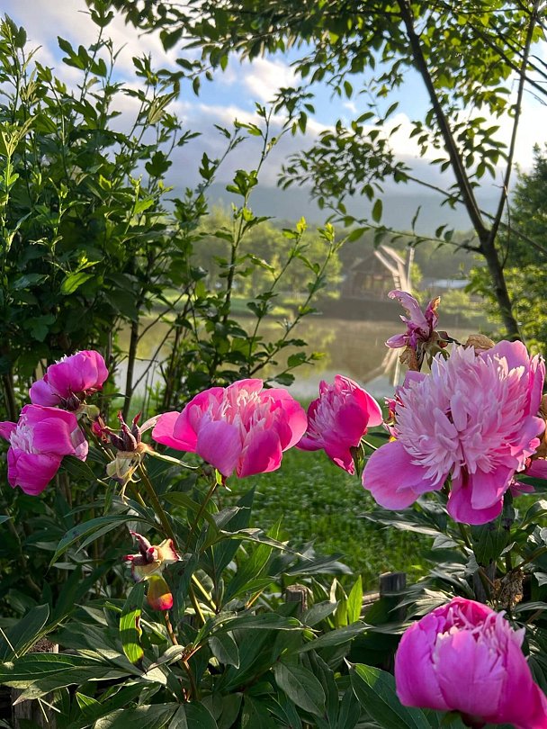 New Васюки , Краснодарский край: фото 5