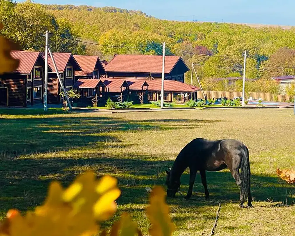 Гринландия, Краснодарский край: фото 2