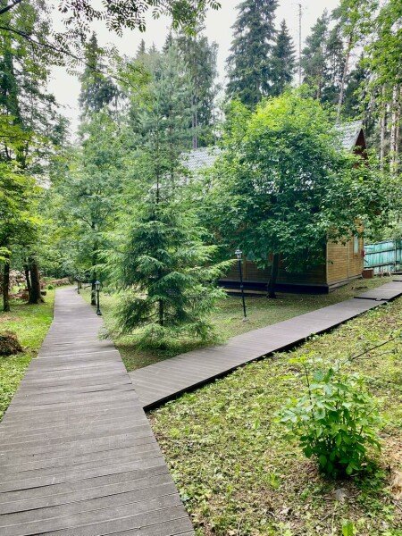 Лада hotel, Московская область: фото 2