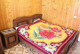1-мест. (разм. в 2-мест.) станд. с балк. (вид на сад), Гостевой дом Аида, Адлер
