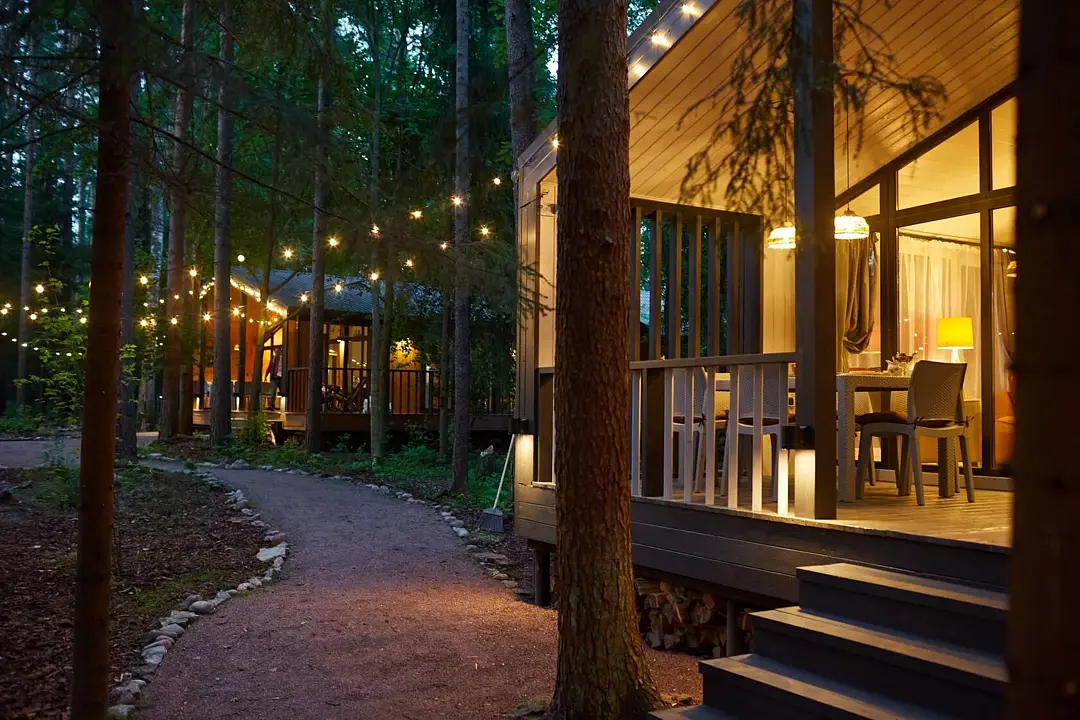 Репинские дачи, Ленинградская область: фото 2